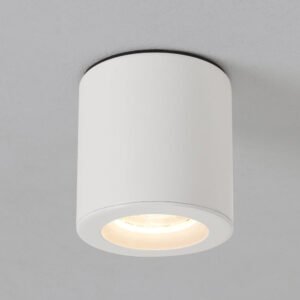 Ceiling Lights - 12548